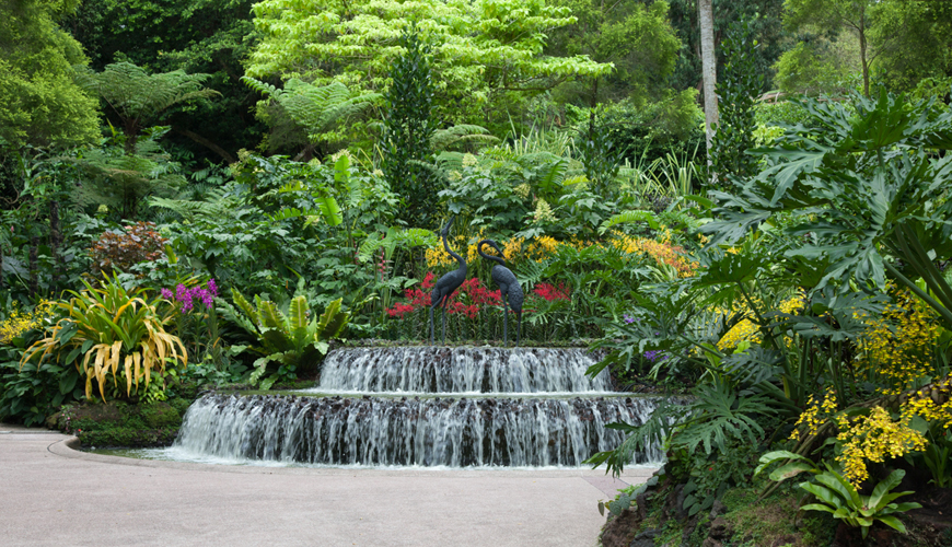 باغ گیاهی پنانگ