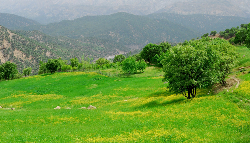 منطقه جنگلی اردل شهرکرد