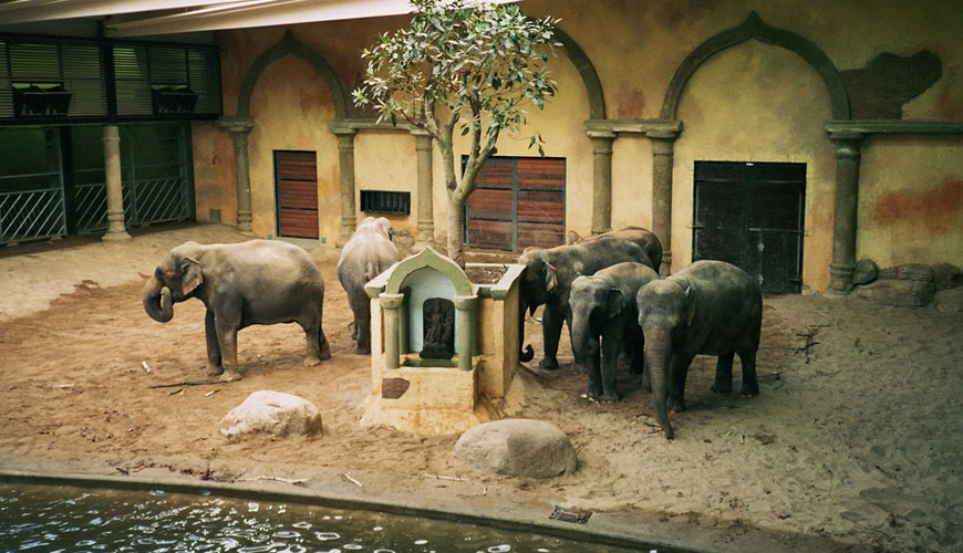 باغ وحش هامبورگ