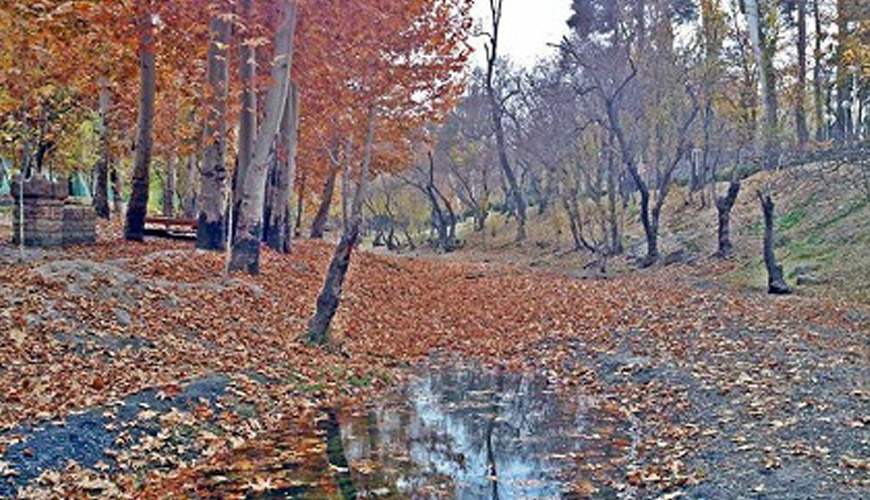 پارک جنگلی بهمن مشهد