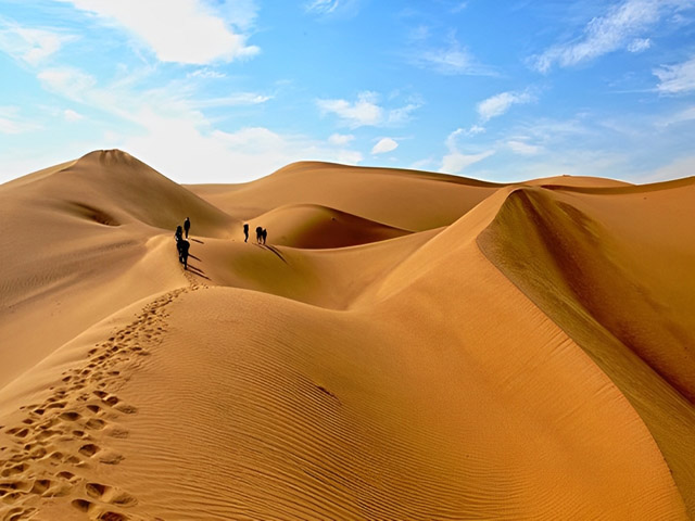 تور اتوبوسی کویر